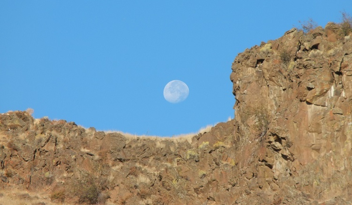 A view of the moon from my backyard