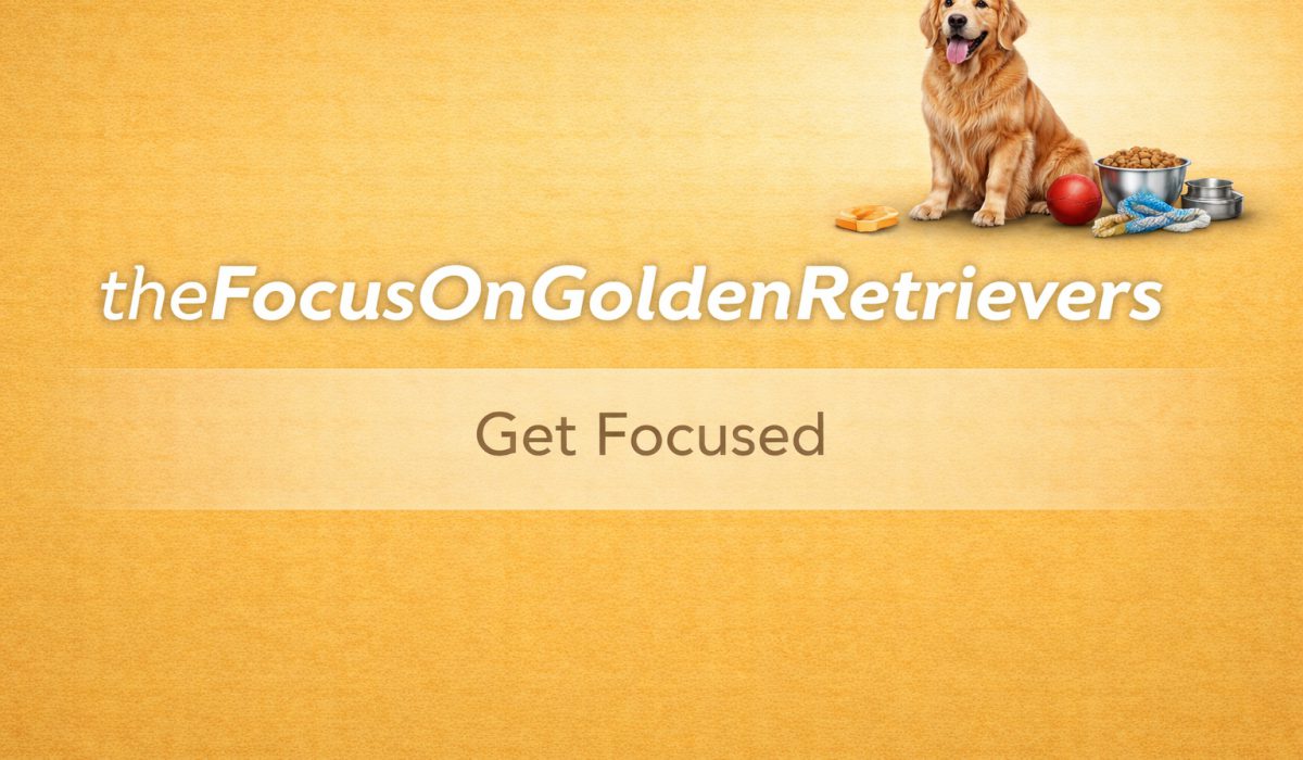 goldenretrievers